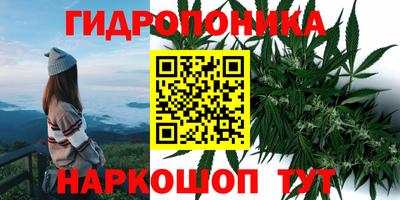 гидропоника Гусь-Хрустальный