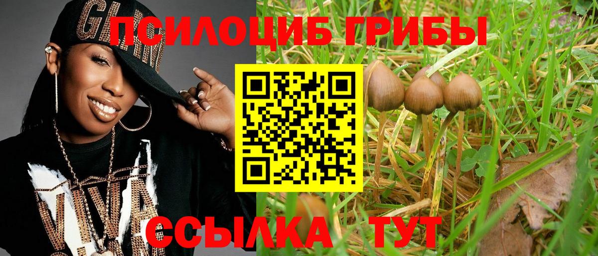 Семёнов  Псилоцибиновые грибы мицелий  Галлюциногенные грибы мухоморы  Вход с VPN 