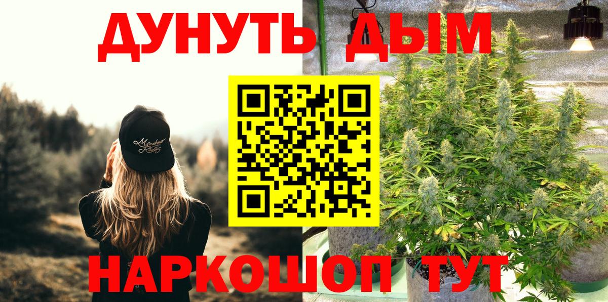Канабис SATIVA & INDICA Семёнов